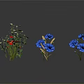 Decorative Plants With White Flowers Green Stems Blue And Red Blooms Against White Background