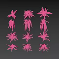 Diverse Green Fern Plant Collection With Various Leaf Shapes And Natural Shadows
