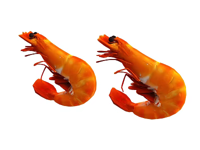 Closeup View of Two Fresh Orange Shrimp as Aquatic Seafood Delight 3d model