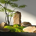 Natural Rockery Stones Arrangement with Green Moss and Leafy Tree in Garden