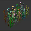 Vibrant Colorful Flowers With Green Stems Blooming On Dark Background Plant