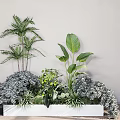Lush Green Flowers and Plants in White Planter Against Light Wall Indoor Scene