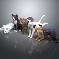 Collection of Multiple Colorful Cat Figurines With Various Poses On Reflective Surface
