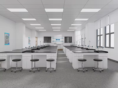 School Science Laboratory With Rows Of Lab Tables Black Stools And Windows 3d model