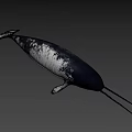 Realistic 3D Model of Narwhal With Long Tusk and Black White Skin
