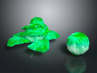 Fresh Green Cabbage with Leafy Outer Layers and Whole Round Head 3d model