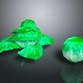 Fresh Green Cabbage with Leafy Outer Layers and Whole Round Head