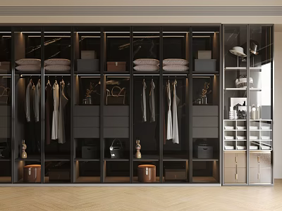 Modern Wardrobe Interior Design With Glass Doors Hanging Clothes Drawers And Shelves 3d model