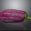 Vibrant Fresh Purple And White Striped Eggplant Isolated On Dark Background