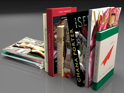 Stacked Books And Magazines With Colorful Covers And Fashion Lifestyle 3d model