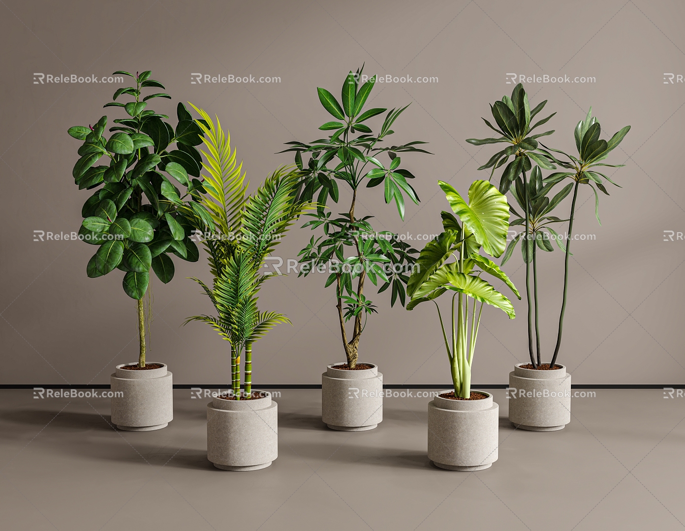 potted plant bonsai green plant 3d model