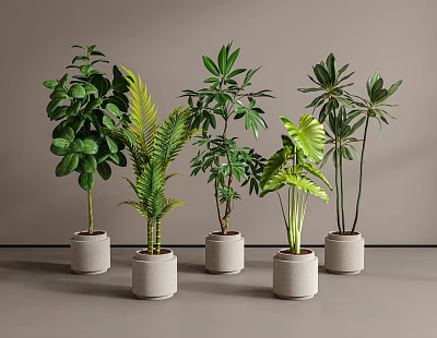 Various Types of Healthy Lush Potted Plants in Light Gray Cylindrical Pots 3d model