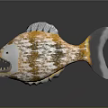 Orange and yellow spotted fish with grey fins tail and sharp teeth
