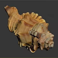 Orange Brown Textured Conch Shell Decorative Ornament Combination for Home Decor