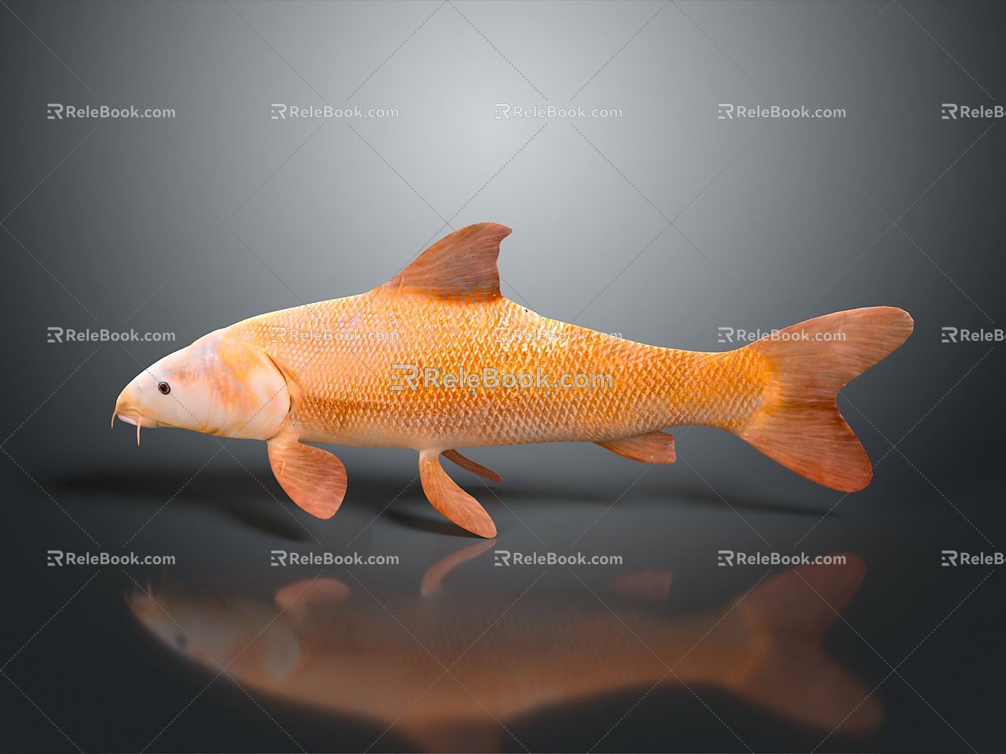 Fish Freshwater Fish Sea Fish Animal Game Animal Cartoon Animal Realistic Animal 3d model