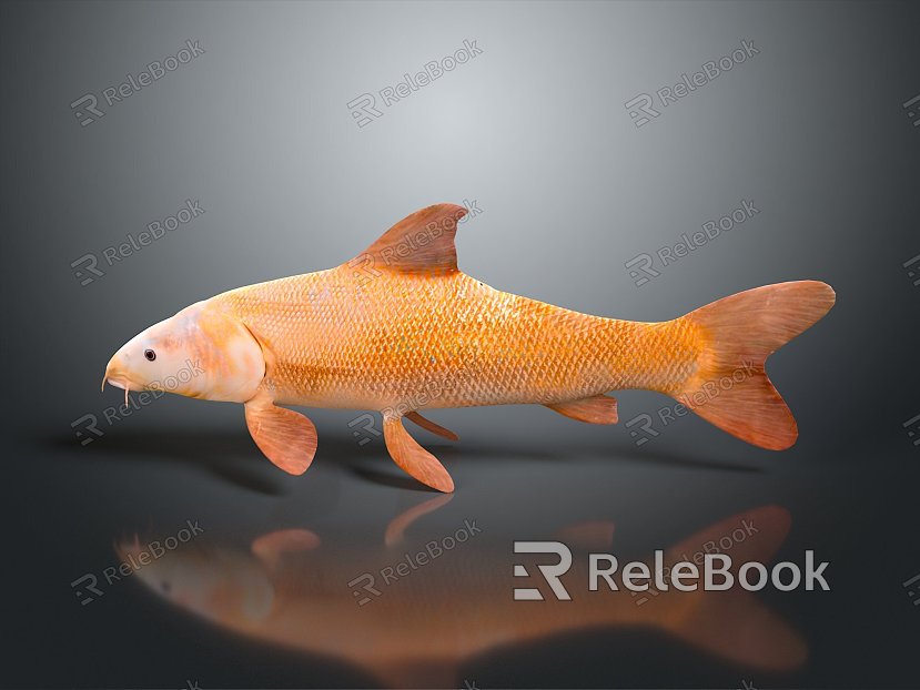 Fish Freshwater Fish Sea Fish Animal Game Animal Cartoon Animal Realistic Animal model