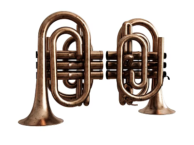 Vintage Brass Musical Instruments Pair As Artistic Tools For Creative Use 3d model