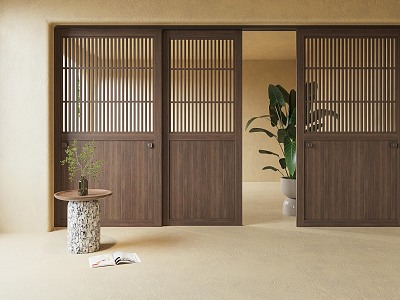 Modern sliding door model