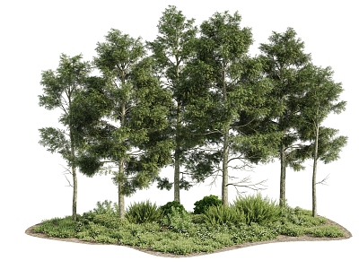 Modern Tree Outdoor Plant Landscape 3d model