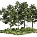 Modern Tree Outdoor Plant Landscape 3d model