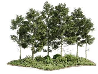Modern Tree Outdoor Plant Landscape 3d model