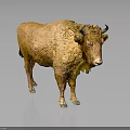 Lifelike Bison Sculpture With Detailed Fur Texture And Standing Pose Design