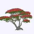 Modeling Rhododendron Old Pile Modeling Tree Shrub 3d model