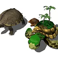 Different Aquatic Turtles With Large Small and Palm Tree Decorated Shells