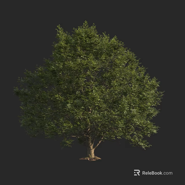 Lush Green Arbor With Dense Foliage And Sturdy Trunk In Natural Shape 3d model 