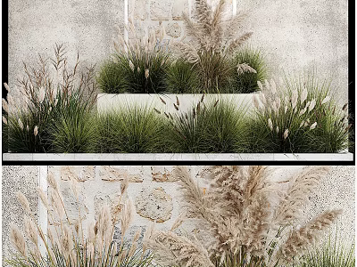 Modern Tiered Concrete Flower Pots With Ornamental Grasses For Wall Decoration 3d model