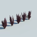 Five Dark Purple Bushes Arranged In A Row On White Background With Shadows