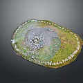 Circular Stone Border Structure With Grass And Gravel Natural Interior Design