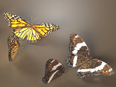 Colorful Butterflies With Yellow Black Spots And Brown White Stripes On Light Brown Background 3d model