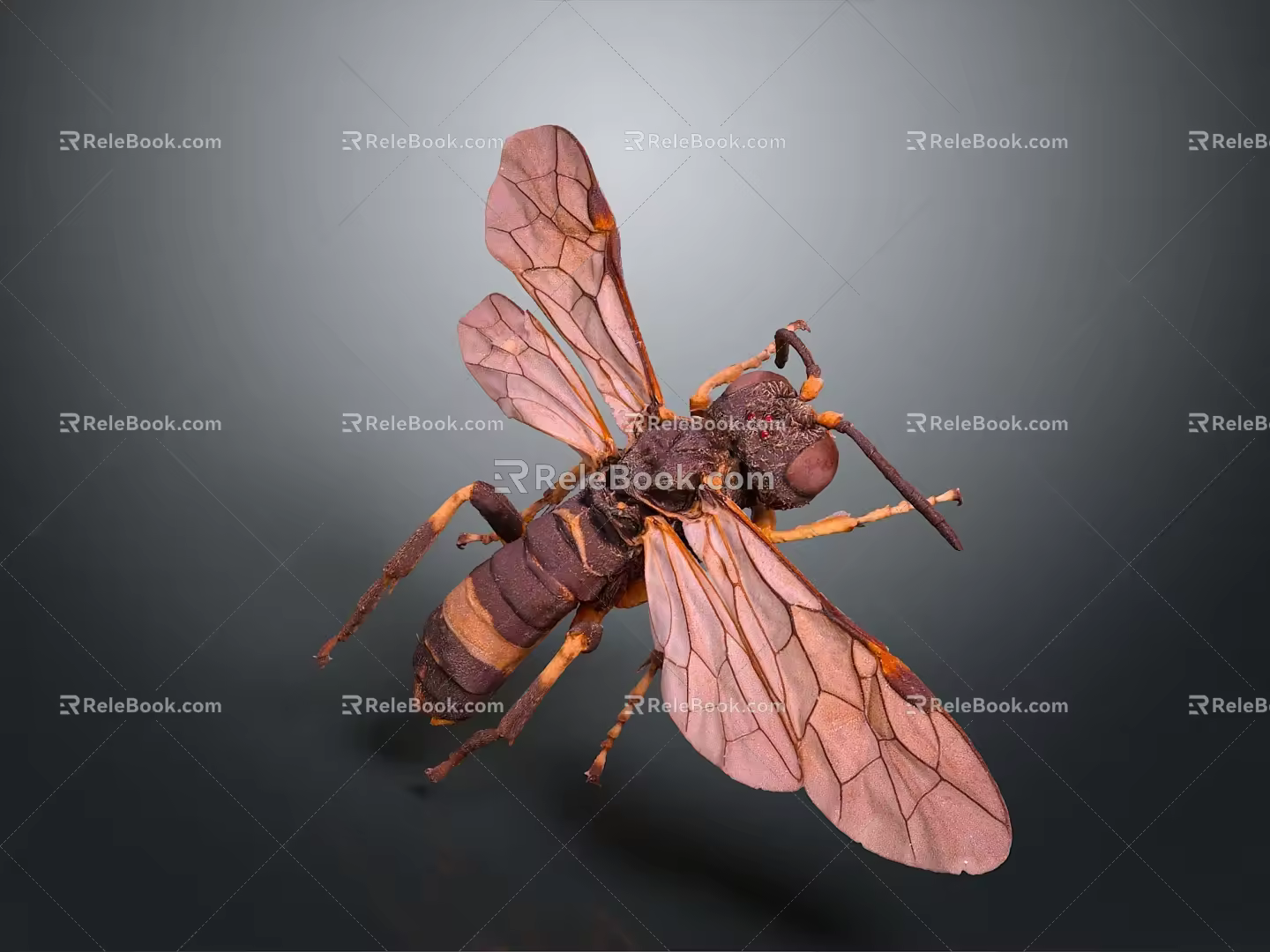 Modern Moth Animal Anime Character 3d model