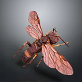 Modern Moth Animal Anime Character 3d model