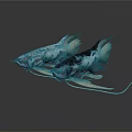 Two Colorful Fish With Blue Black White Patterns Elegant Fins Tails On Dark Reflective Background