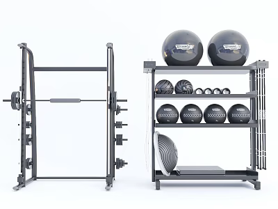 Home Gym Sports Equipment Including Squat Rack Barbell Weight Plates Exercise Balls And Medicine Balls 3d model