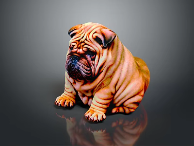 Shar Pei Dog With Wrinkled Skin Sitting On Dark Surface With Shiny Coat 3d model