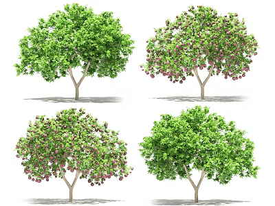 Arbor Trees Displaying Green Foliage And Pink Fruits In Diverse Natural Looks 3d model