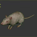 Cartoon Mouse Animated Mouse Grey Mouse Anime Mouse Cartoon Character 3d model