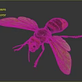 Red And Black Wasp With Transparent Wings Head Compound Eyes Antennae Legs On Dark Background