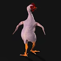 Featherless Chicken With Red Comb And Yellow Feet On Black Background