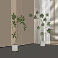 Indoor Bonsai Potted Plants With Stylish Branches And Lush Green Leaves In Modern Room