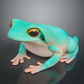 Turquoise Green Frog With Yellow Eyes White Underbelly And Pink Toes On Dark Reflective Surface
