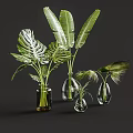 Transparent Glass Vases With Monstera Banana And Palm Leaves For Home Decor