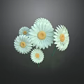 Beautiful White Daisies With Yellow Centers Nicely Arranged On Dark Background 3d model