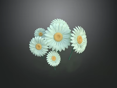Daisy flowers flowers flowers vegetation wild flowers cartoon flower petals 3d model