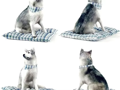 Lizard With Plaid Scarf Sitting On Plaid Cushion Multiple Angle Views 3d model