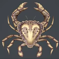 Spotted Brownish Yellow Crab With Red Tipped Legs And Spread Out Posture As Aquatic Animal