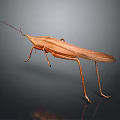 Brown Insect With Long Antennae Slender Legs Glossy Exoskeleton On Gray Gradient Background 3d model